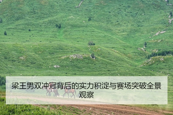 梁王男双冲冠背后的实力积淀与赛场突破全景观察
