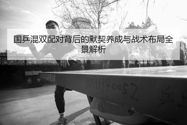 国乒混双配对背后的默契养成与战术布局全景解析